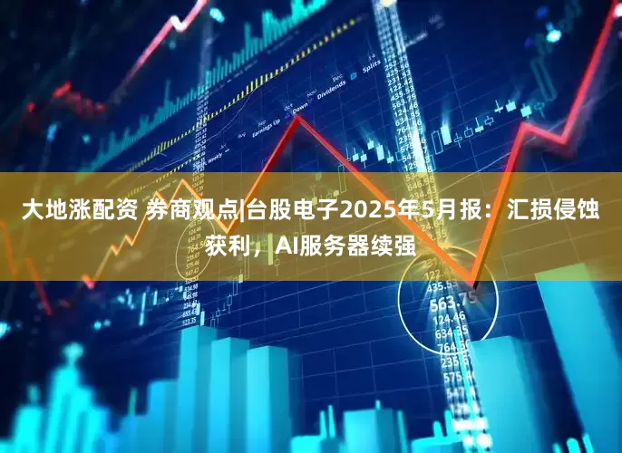 大地涨配资 券商观点|台股电子2025年5月报：汇损侵蚀获利，AI服务器续强