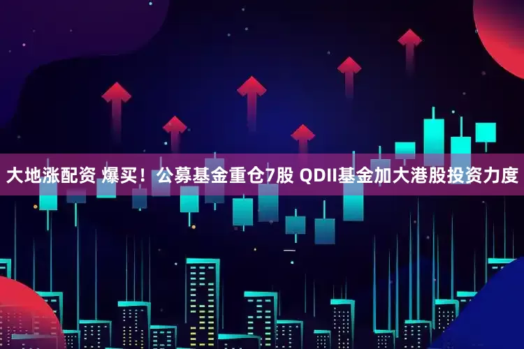 大地涨配资 爆买！公募基金重仓7股 QDII基金加大港股投资力度